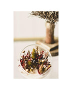 CANDELA LUCE - PEZZO UNICO