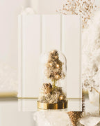 CAMPANA CUSTODISCIMI - PEZZO UNICO