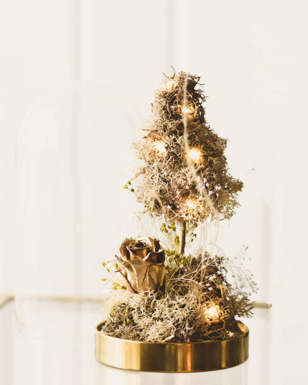 CAMPANA CUSTODISCIMI - PEZZO UNICO