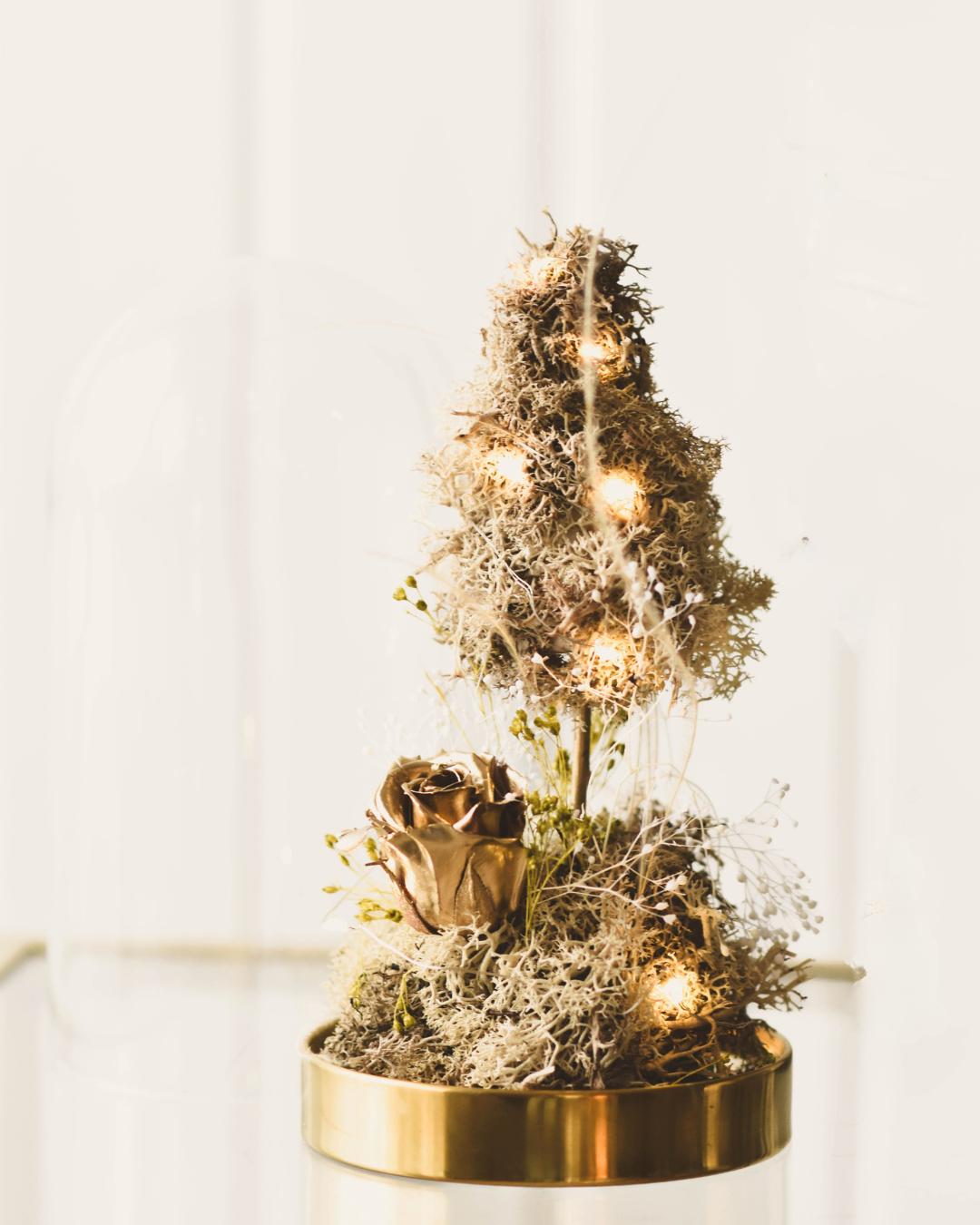 CAMPANA CUSTODISCIMI - PEZZO UNICO