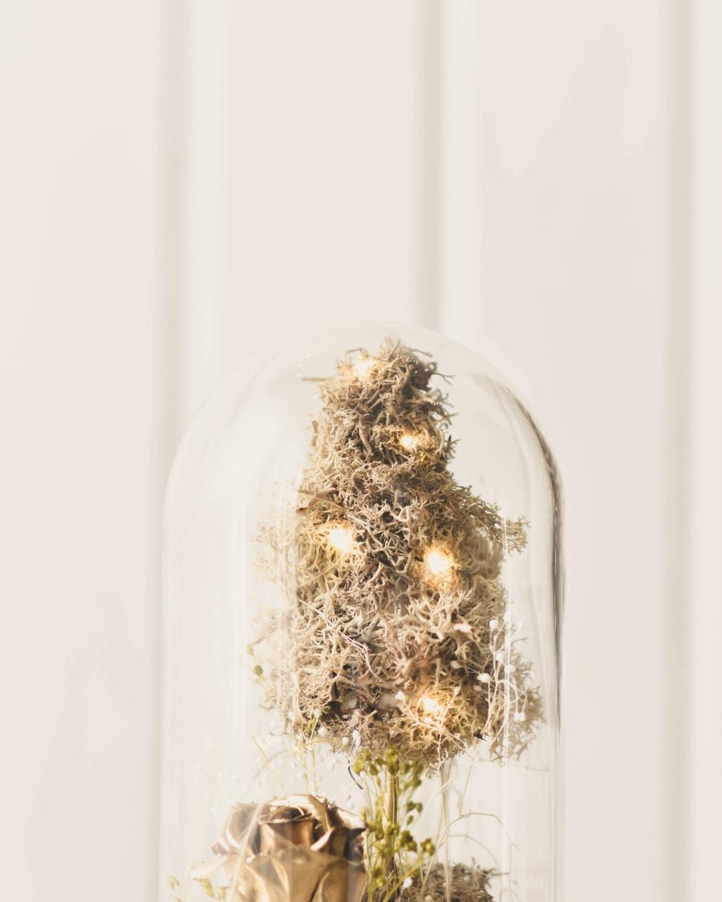 CAMPANA CUSTODISCIMI - PEZZO UNICO