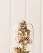 CAMPANA CUSTODISCIMI - PEZZO UNICO